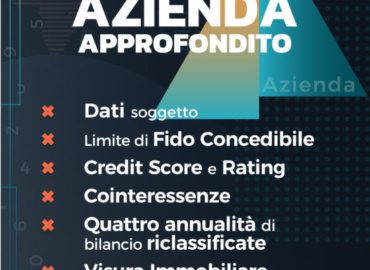 Affidamento Azienda Approfondito